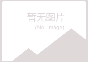 安图县易梦能源有限公司